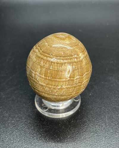 Brown multi banded marble - multi,